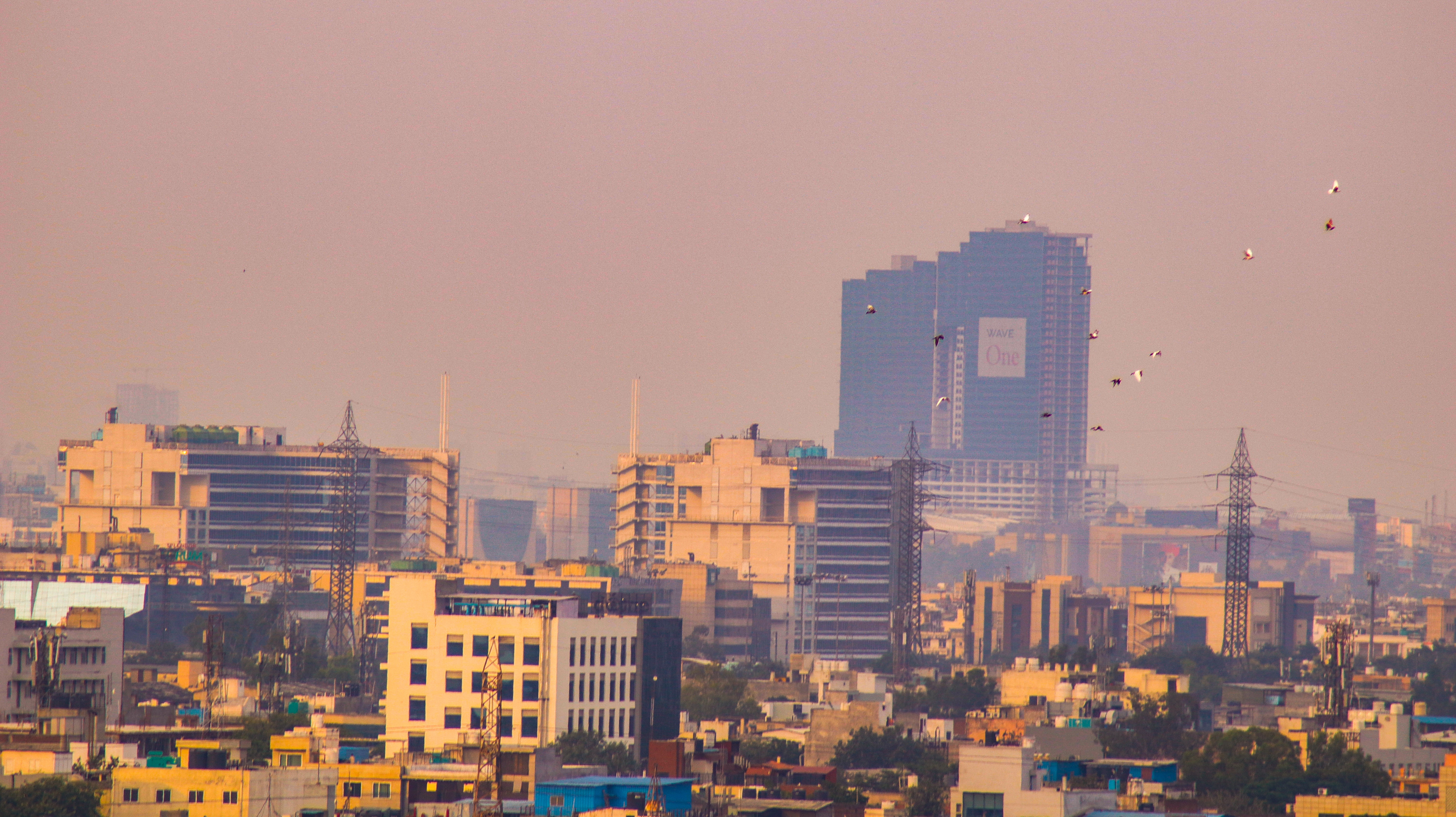 Delhi 4