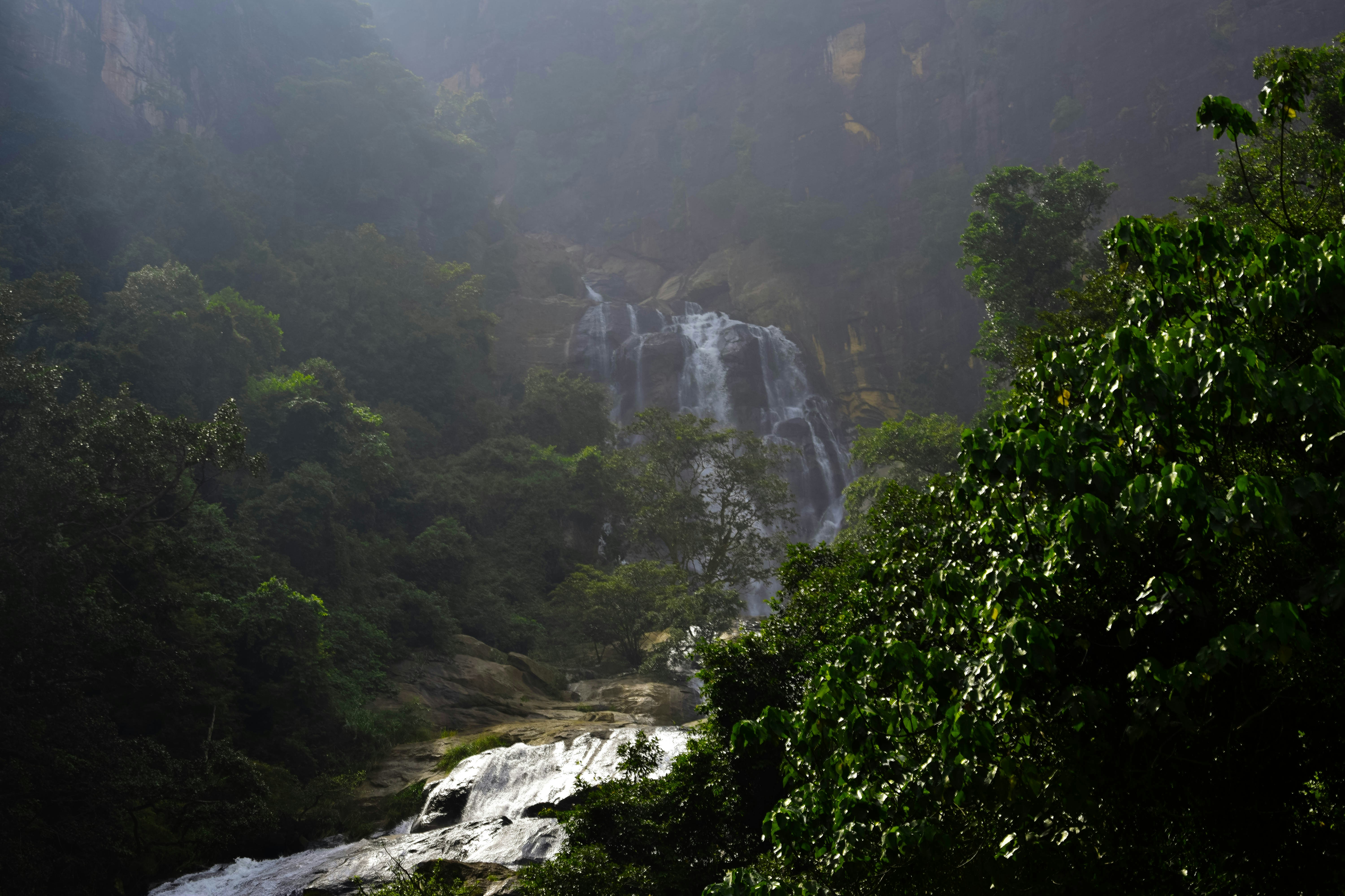 Goa 5