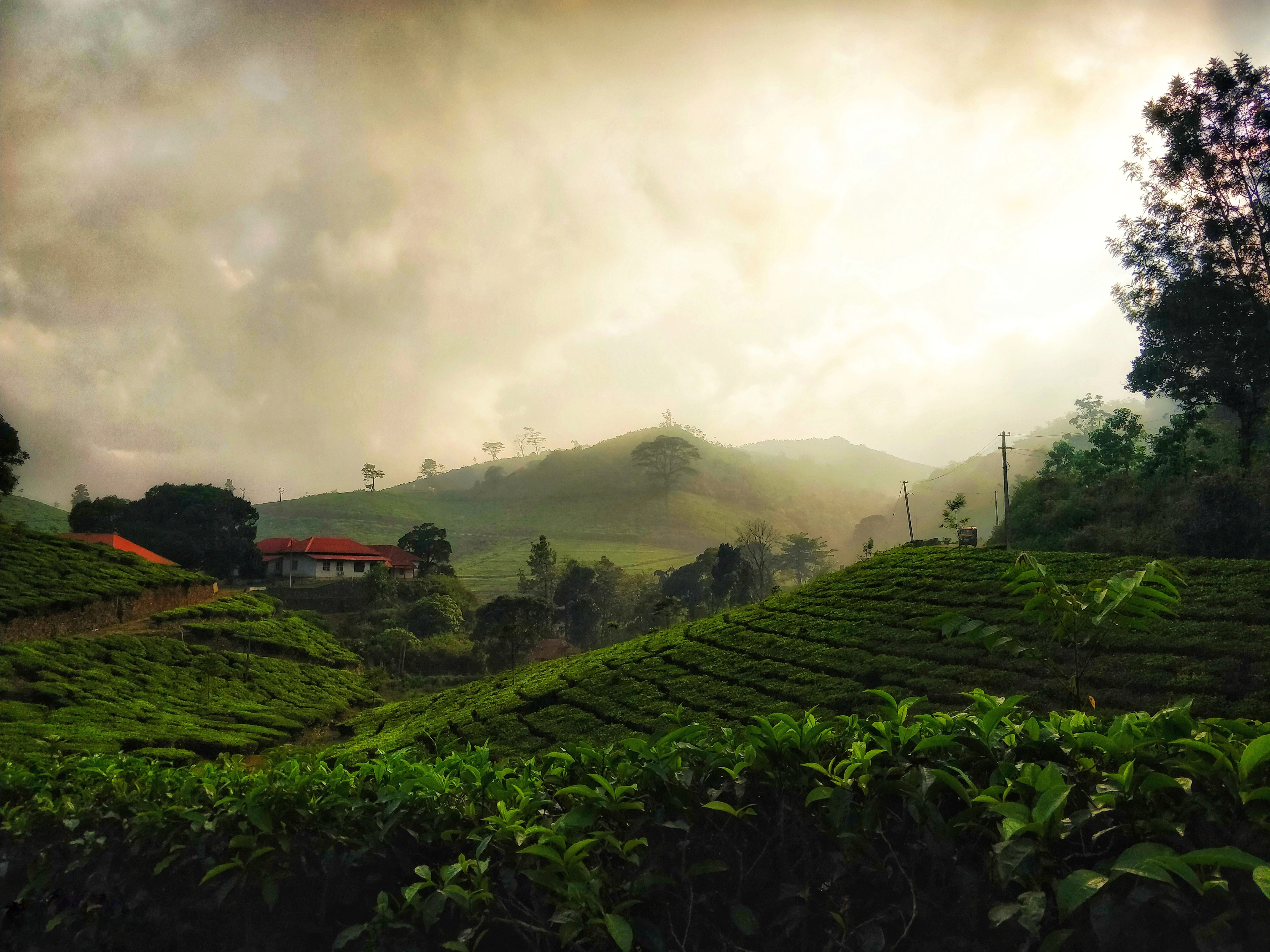 Kerala 3